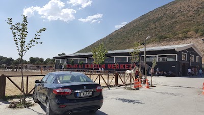 Photos of Burak Binicilik