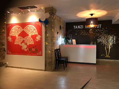 YANZI INSTITUT TUINA AN MO