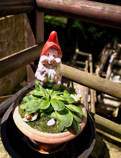 Zur Wassermühle Krosigk - Thumbnail