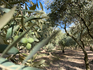 Photo n°27 de Ferme Haute Prairie à Lourmarin (Magasin de produits de la ferme)
