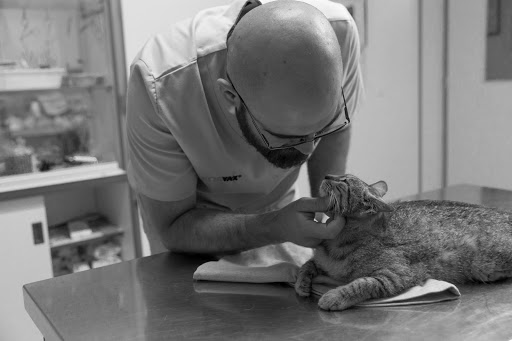 Clínica Veterinaria Astorga - Spain