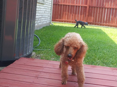 Maw N Paws PuppyCare