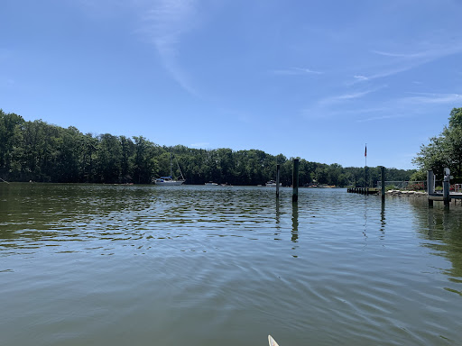 Capital SUP - Quiet Waters Park - Thumbnail