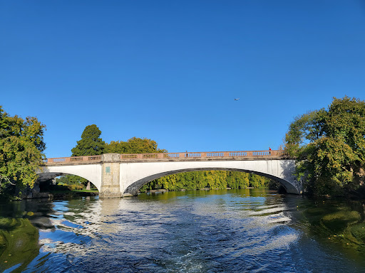 Albert Bridge - Visual
