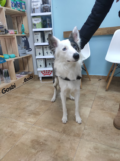 Tutatis Veterinària