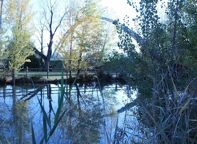 Hoffman Park Arena