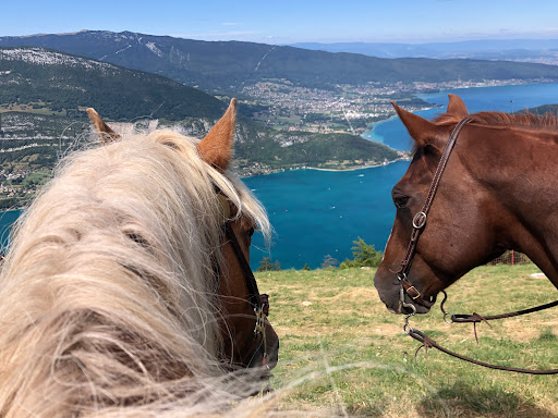 Nature Equestre - Thumbnail