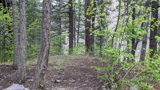 Triple Bridges Campground - Thumbnail