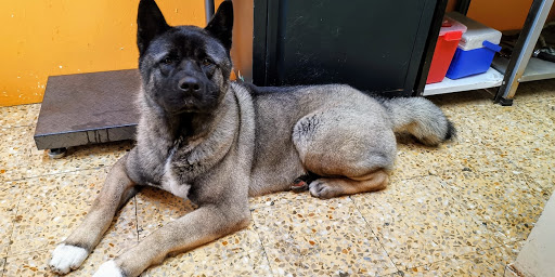 Consultorio Veterinario Pets & Love
