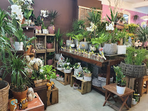 Photo n°3 de Il Etait une Fleur... Artisan Fleuriste Menton à Menton (Livraison de fleurs)