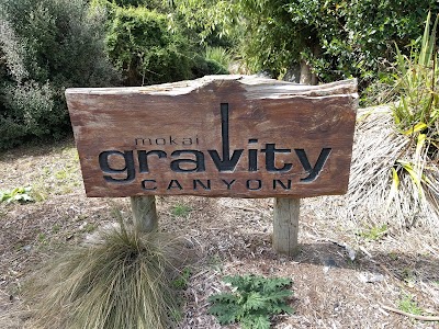 Photos of Mokai Gravity Canyon