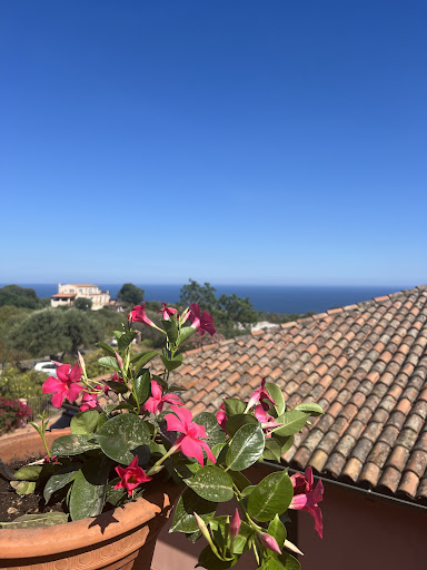 Passion for Sicily - Thumbnail