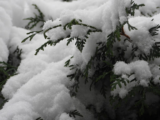 Aspen Ridge Park - Thumbnail