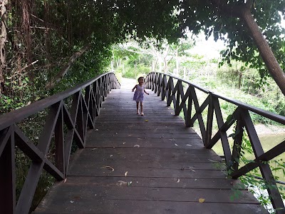 Photos of Kirirom Hillside Resort (True)