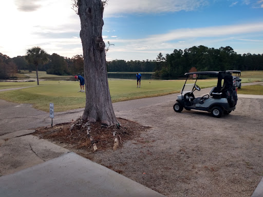 Wellman Golf Club - Thumbnail