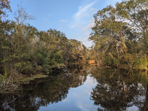 Swamp Gallery - United States