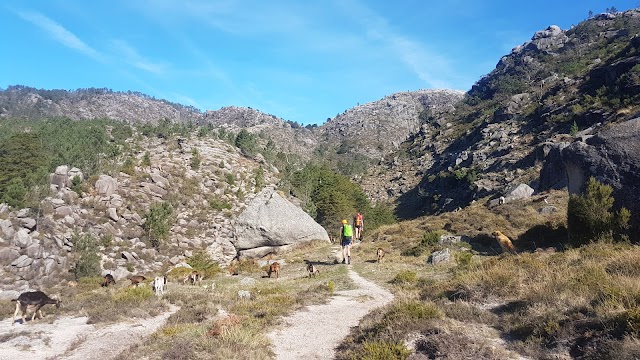 Cascata do Arado