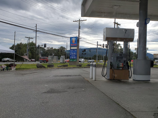 Mann Petroleum - Visual