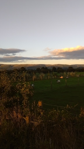 Sykeside Holiday Cottages