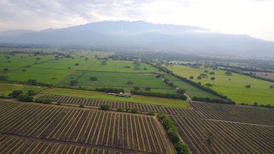 Photos of Club de aeromodelismo Los Halcones