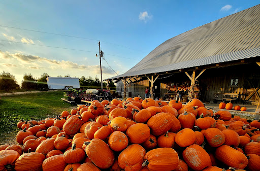 Beasley's Orchard Gallery - United States