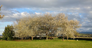 Photo n°36 de L'Estancat à Pardies-Piétat (Chambre d'hôtes)