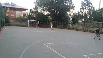 school