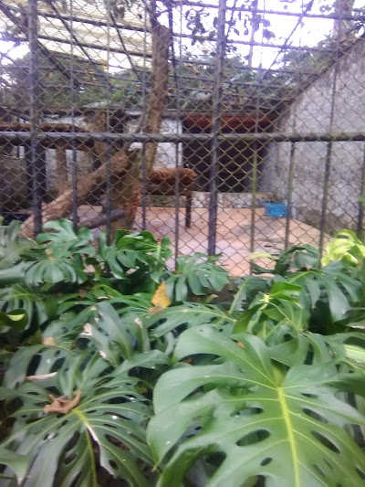 Photos of Zoologico Santacruz
