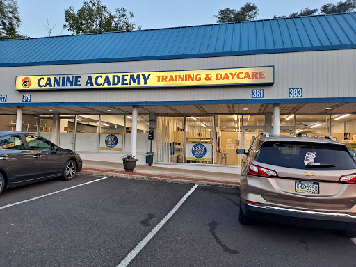 Canine Academy, LLC - Thumbnail