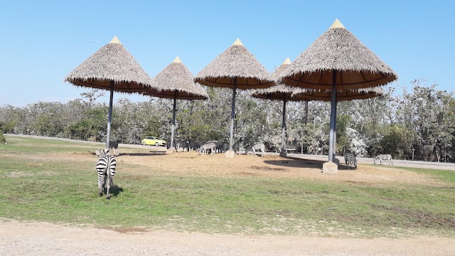 Safari World