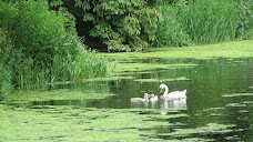 Byron’s Pool LNR cambridge