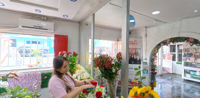 Florería Primavera Antofagasta - Floristería