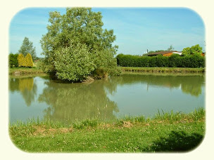 Photo n°6 de Les Prairies de la Mer - Baie de Somme à Favières (Terrain de camping)