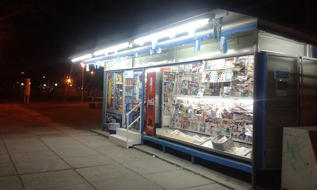 Revistero Kiosco Del Paseo, Author: Gustavo Munarriz