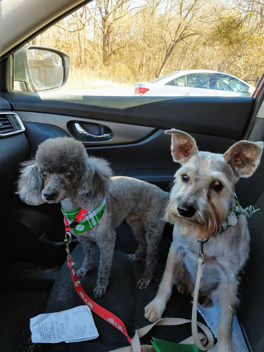 Tailwaggers - Visual