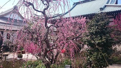 Photos of Gifu Sogi Koen