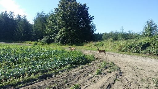 Full Circle Farm - Thumbnail