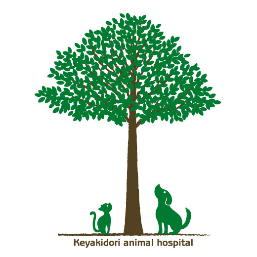 けやき通り動物病院