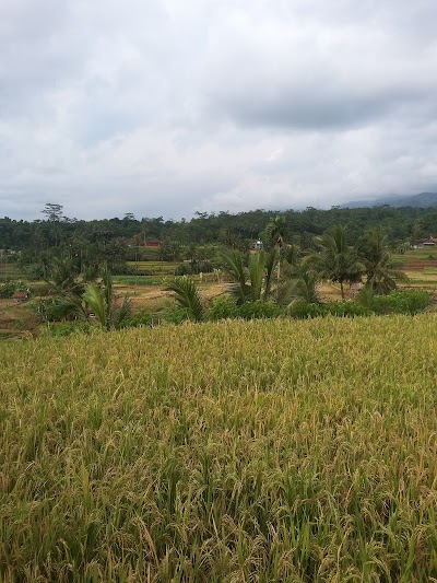 Photos of Warkop MANCAGAR
