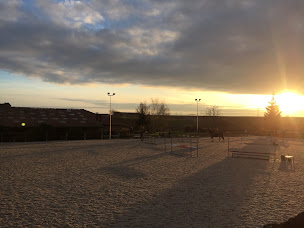 Photo n°10 de ECURIE FABIEN EHRHART - PONEY CLUB JUMPING 2001 à Fessenheim-le-Bas (Centre équestre)