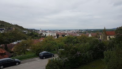 Photos of Steigenberger Hotel and Spa Krems