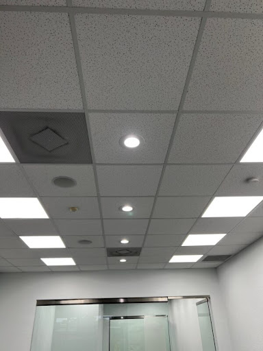 Bicca Electric - Visual