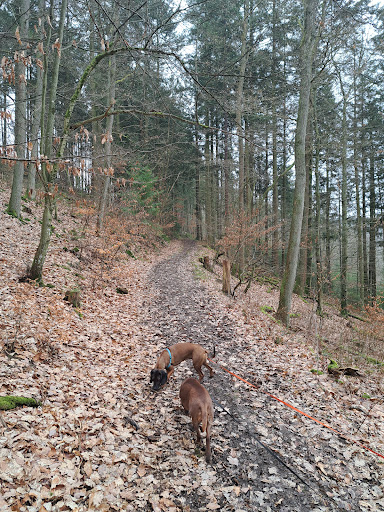 Wollmerschieder Grenzweg