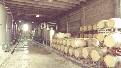 Photos of Dolium Bodega Subterranea