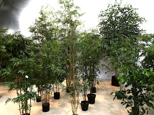 Photo n°2 de Plantes artificielles - Flore Lyon à Lyon (Fournisseur de plantes artificielles)