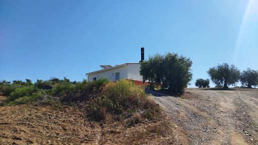 CreMaim - Visual