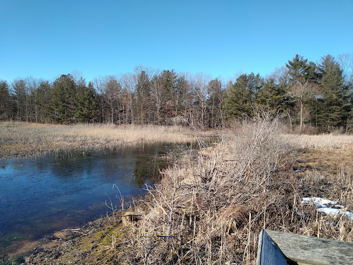 Henderson Lake Disc Golf Course - Thumbnail