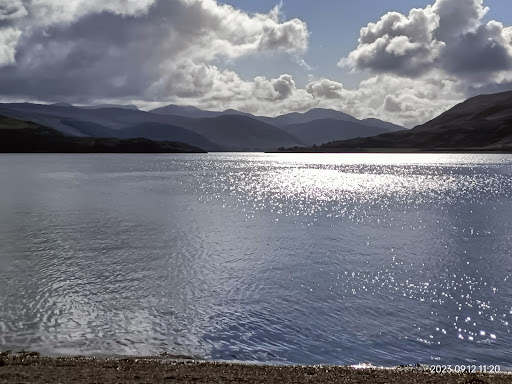 Western Isles Wildlife - Outer Hebrides Bird Tours and Latest Sightings - Thumbnail