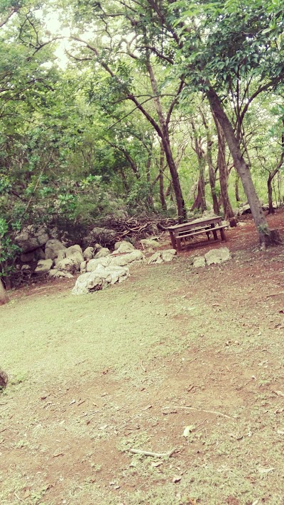 Photos of Reserva Cerro De Caballito