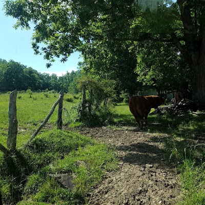 Photos of Someplace Special Gem Mine